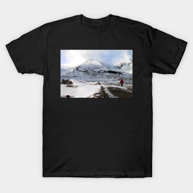 Admiring the View, Jasper, Canada T-Shirt by Carole-Anne